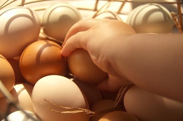 Huevos | PIXABAY/ ep huevos