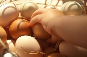 ep huevos