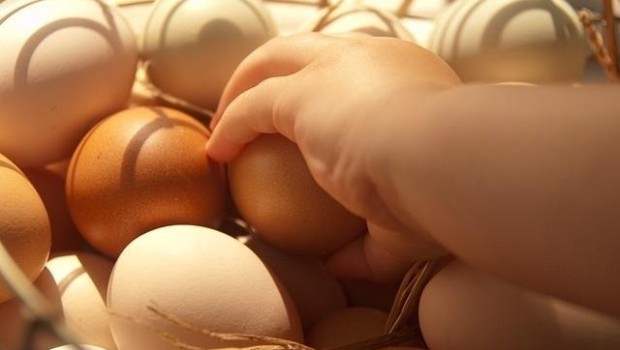 ep huevos