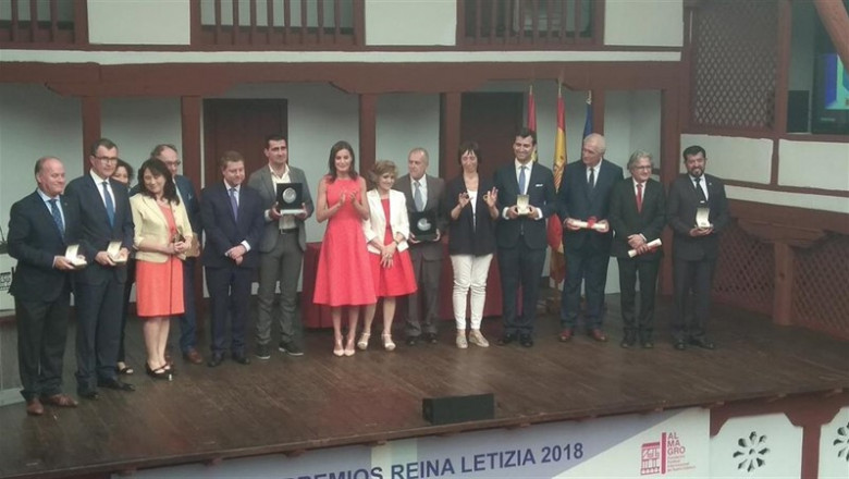 ep la reina letizia entregapremiosllevannombrepatronatodiscapacidad