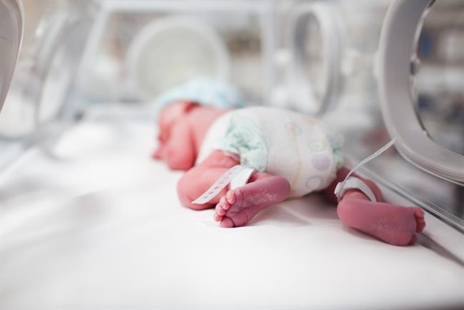 Recién nacido. Bebé. Incubadora ep recien nacido bebe incubadora