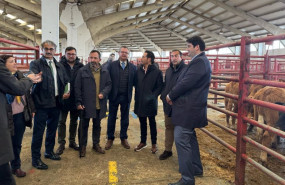 ep visita del consejero de agricultura ganaderia y desarrollo rural gerardo duenas al mercado de