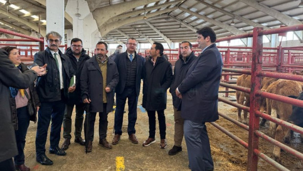 ep visita del consejero de agricultura ganaderia y desarrollo rural gerardo duenas al mercado de