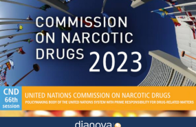 cabecera mailchimp 66 cnd