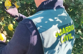 ep agente de la guardia civil en un campo de limones ep agente de la guardia civil en un campo de limones