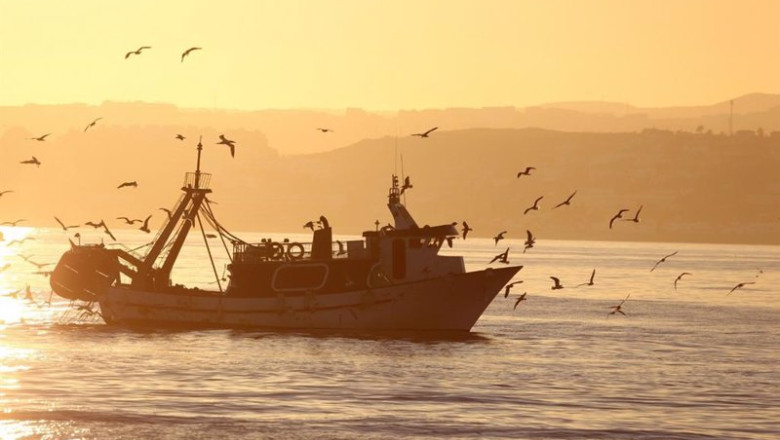 ep archivo barco pesquero 20231127162703 ep archivo barco pesquero 20231127162703