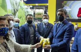 ep el ministro de agricultura pesca y alimentacion luis planas c con platanos de canarias en la