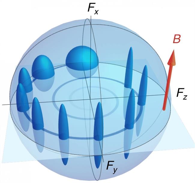 Evolución de un espín y su incertidumbre orbitando en un campo magnético | ICFO ep evolucionun espinsu incertidumbre orbitandoun campo magnetico