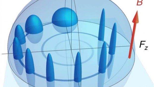 ep evolucionun espinsu incertidumbre orbitandoun campo magnetico