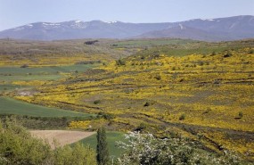 ep geoparquelas loras