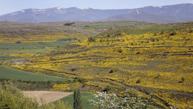 ep geoparquelas loras