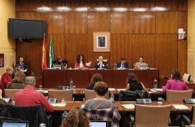 ep imagen general de la comision de igualdad que se ha reunion este jueves para la comparecencia de