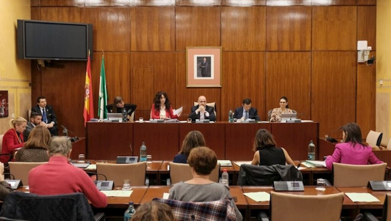 ep imagen general de la comision de igualdad que se ha reunion este jueves para la comparecencia de