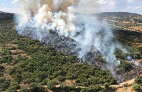 ep incendio forestaljerezlos caballeros