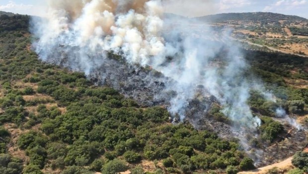 ep incendio forestaljerezlos caballeros