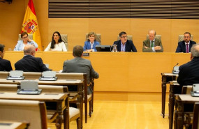 ep la ministra carcedola comisionsanidadcongreso 20190820145003