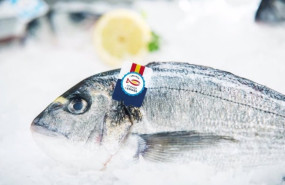 ep pescado espanol pescado fresco la campana para reconocer el pescado 100 espanol en los puntos de