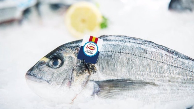 ep pescado espanol pescado fresco la campana para reconocer el pescado 100 espanol en los puntos de