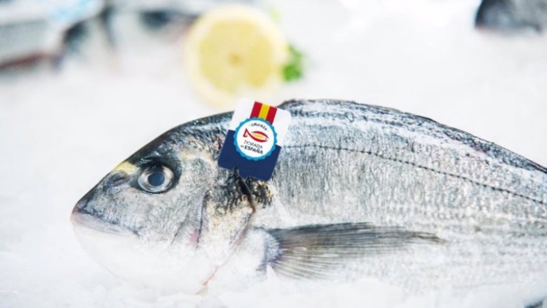 ep pescado espanol pescado fresco la campana para reconocer el pescado 100 espanol en los puntos de ep pescado espanol pescado fresco la campana para reconocer el pescado 100 espanol en los puntos de