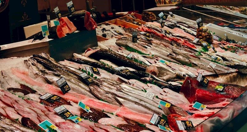 Pescado fresco en mercado | FEDEPESCA ep pescado fresco en mercado