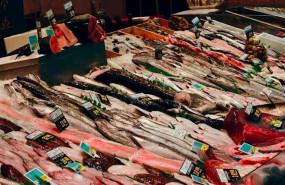ep pescado fresco en mercado