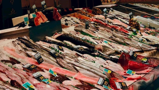 ep pescado fresco en mercado