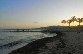 ep playa de palma de mallorca
