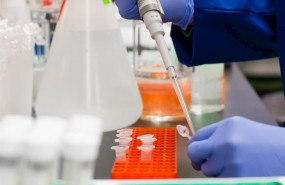 ep trabajo en un laboratorio