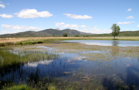 sierra norte de guadalajara1 