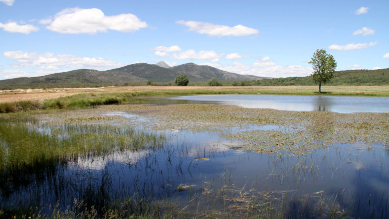 sierra norte de guadalajara1 