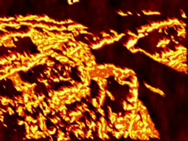 1239971 1664965858686