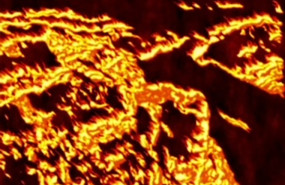 1239971 1664965858686