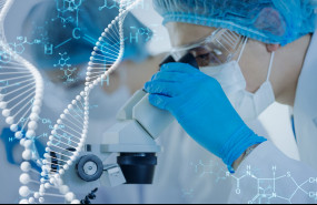 1618907279 shutterstock1653188224 