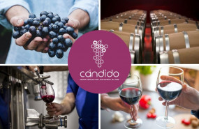 1637923940 cedecmultinivel iberica vinos c ndido