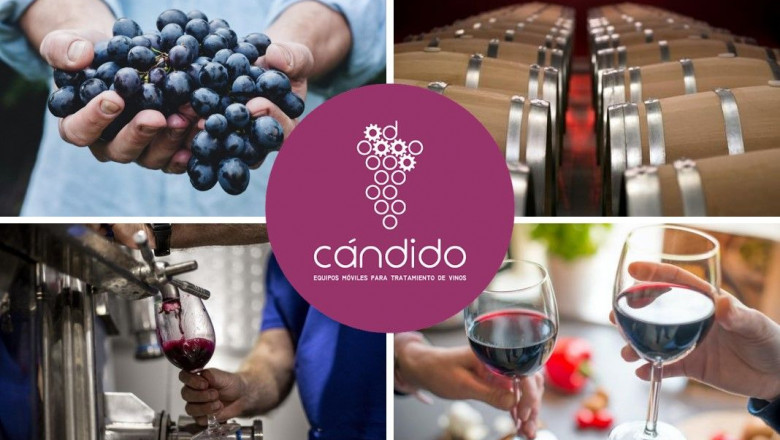 1637923940 cedecmultinivel iberica vinos c ndido
