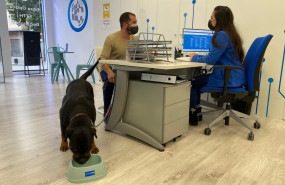 1643379096 cliente con su mascota en la tienda de el palmar 