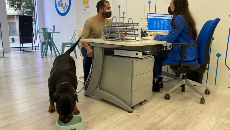 1643379096 cliente con su mascota en la tienda de el palmar 