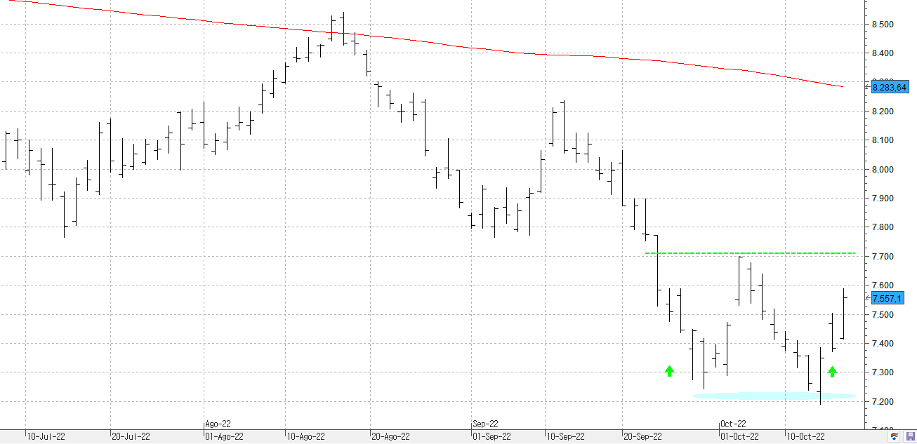 c171022ibex