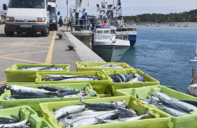 ep archivo   cajas de pescado en las inmediaciones del mar
