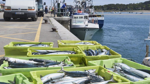 ep archivo   cajas de pescado en las inmediaciones del mar