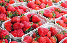 ep archivo   fresas