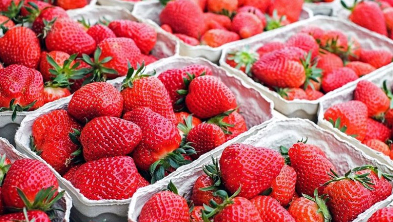 ep archivo fresas ep archivo fresas