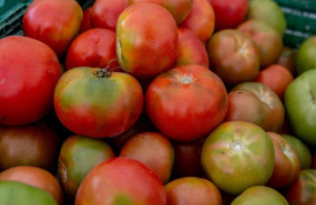 ep archivo   recursos de tomates en el mercado de la despensa de madrid en los jardines del palacio