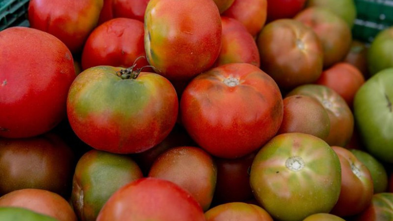 Archivo - Recursos de tomates en el mercado de ‘La Despensa de Madrid’, en los jardines del Palacio del Infante Don Luis, a 7 de septiembre de 2025, en Boadilla del Monte, Madrid (España). | Ricardo Rubio - Europa Press - Archivo ep archivo recursos de tomates en el mercado de la despensa de madrid en los jardines del palacio