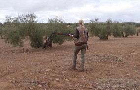 ep asaja alude a didicultades de los cazadores para paliar los danos cinegeticos