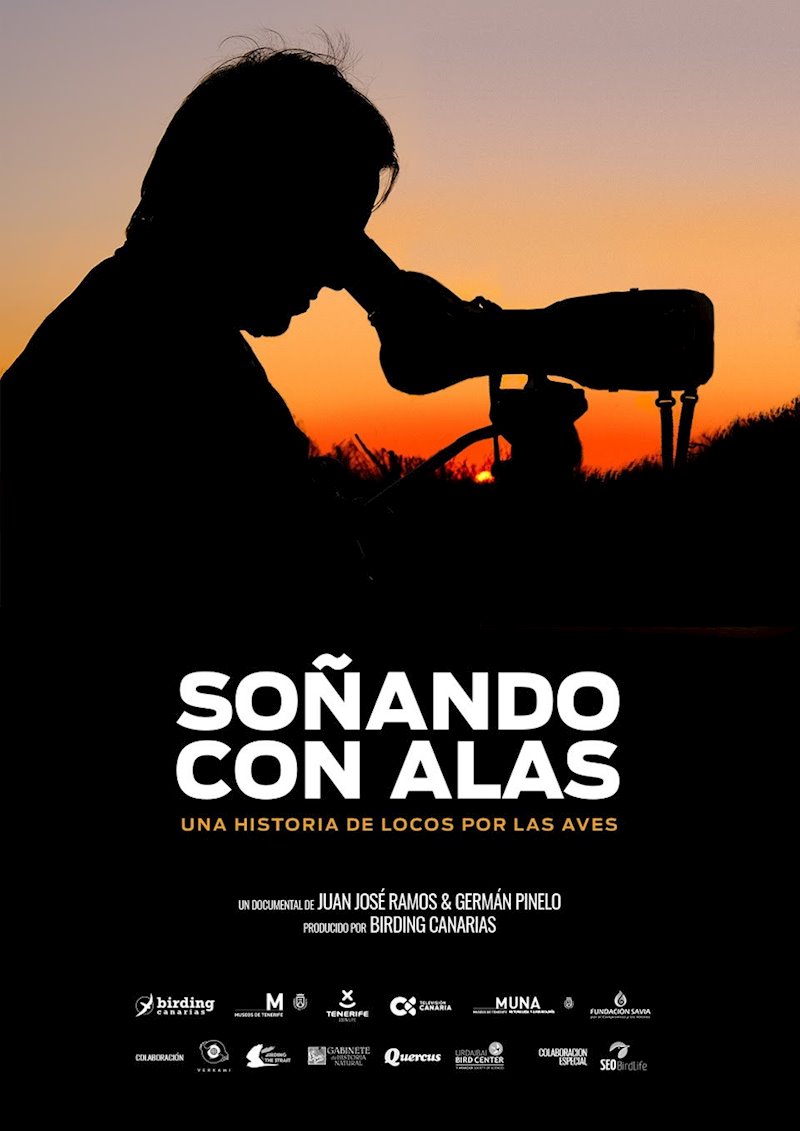 ep cartel del documental sobre ornitologia sonando con alas ep cartel del documental sobre ornitologia sonando con alas