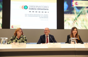 ep la subdirectora general de promocion de alimentos de espana purificacion gonzalez director ep la subdirectora general de promocion de alimentos de espana purificacion gonzalez director