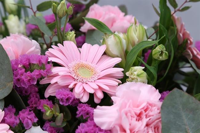 ep ramoflores floristeria
