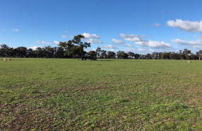 ep ubicacion de la nueva planta solar de grs y frv en nueva gales del sur australia