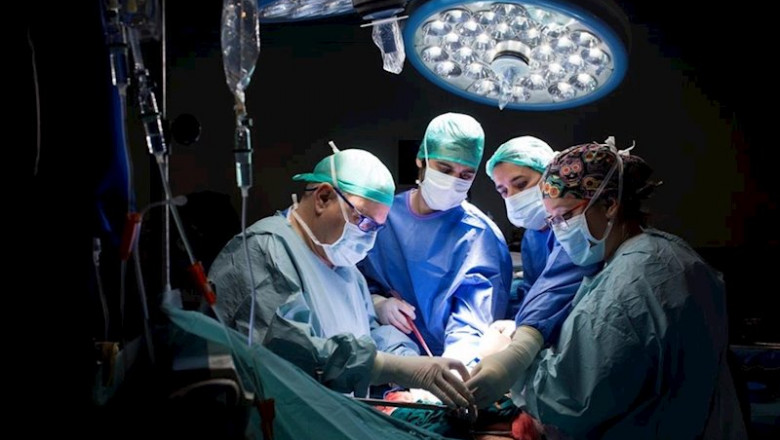 ep uji premsa la ctedra medtronic de la universitat jaume i organitza sis cursos en 2019